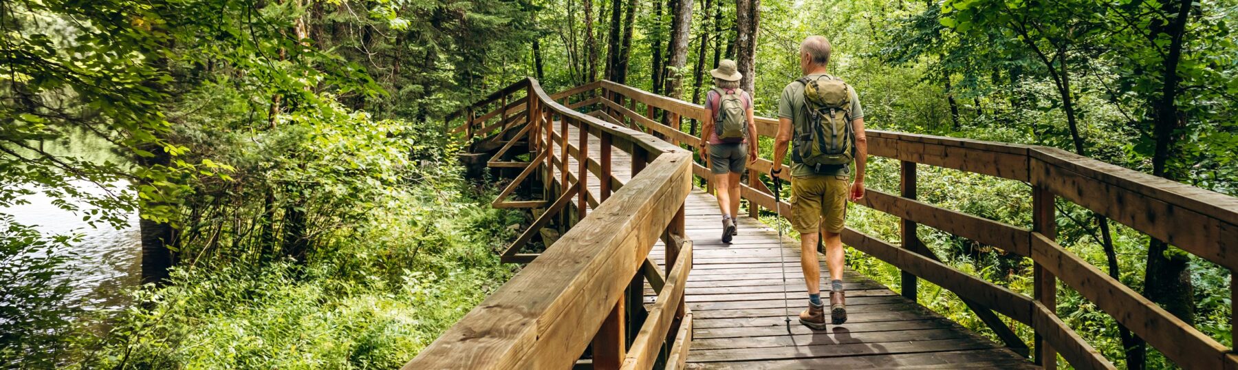 couple hiking on a forest boardwalk
