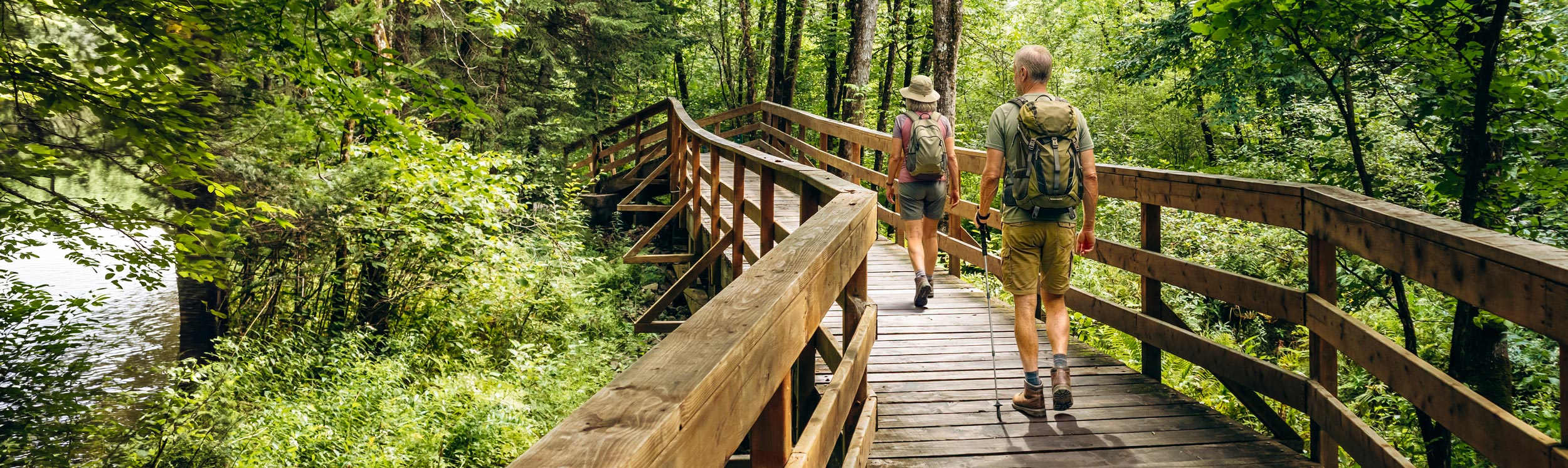couple hiking on a forest boardwalk